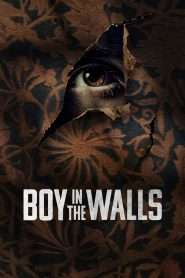 Boy in the Walls (2023), film online