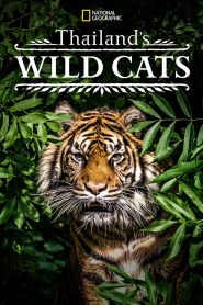 Thailand’s Wild Cats (2021), film online