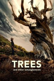 Trees and Other Entanglements (2023), film online