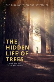 The Hidden Life of Trees (2020), film online