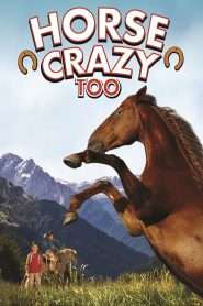 Horse Crazy 2: The Legend of Grizzly Mountain (2010), film online