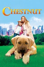 Chestnut: Hero of Central Park (2004), film online