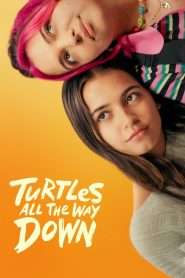 Turtles All the Way Down (2024), film online