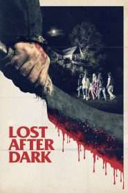 Lost After Dark (2014), film online