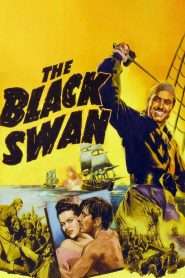 The Black Swan (1942), film online