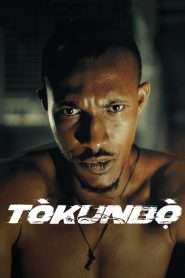 Tòkunbọ̀ (2024), film online