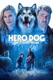 Hero Dog: The Journey Home (2021), film online