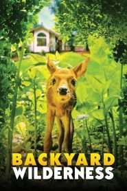 Backyard Wilderness (2018), film online