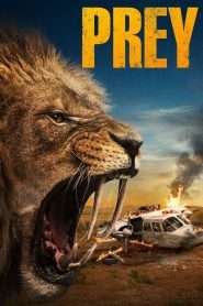 Prey (2024), film online