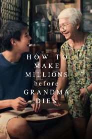 How to Make Millions Before Grandma Dies (2024), film online