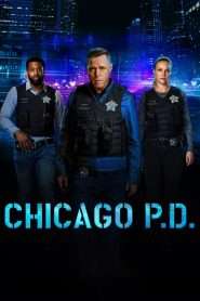 Chicago P.D. (2014), serial online