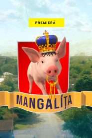 Mangalița (2019), serial online