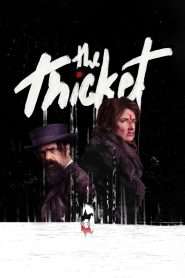 The Thicket (2024), film online