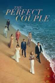 Cuplul perfect (2024), serial online