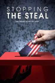 Stopping the Steal (2024), film online