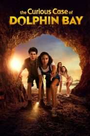 The Curious Case of Dolphin Bay (2022), film online