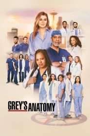 Anatomia lui Grey (2005), serial online