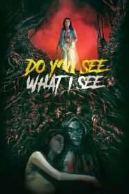 Do You See What I See (2024), film online